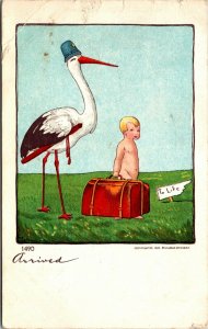  POSTCARD BABY ANNOUNCEMENT - STORK - BOY ARRIVED - VINTAGE 1906