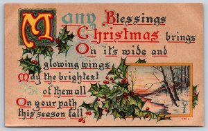Holiday~Many Blessings Christmas Brings~Holly & Winter Creek Scene~Vintage PC