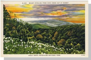 Smoky Mountains National Park, North Carolina/NC-TN Postcard,Sterling,Nr Mint!