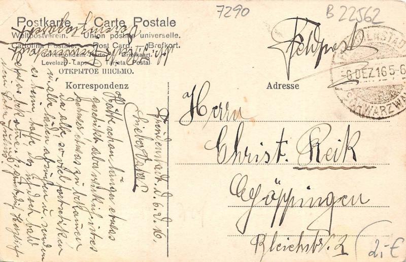 B22562 Freudenstadt Kurhaus Palmenwald