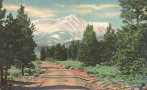 Vintage Postcard Mt. Elbert Sawatch Range Highest Peak Near Leadville Colorado