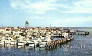 Deep-Sea Sport Fishing Fleet in Ocean City, Maryland