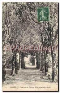 Old Postcard Surgeres Interior Allee Du Chateau Main