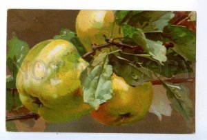 497560 Catherine KLEIN Sweet APPLE on Tree Vintage postcard Wenau