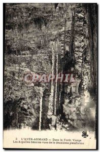 Old Postcard Cave Caves L & # 39Aven Armand In the virgin forest giant needle...