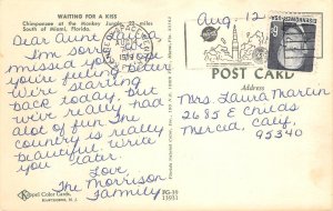 Dressed Chimpanzee, Monkey Jungle, Miami, Florida 1972 Vintage Postcard