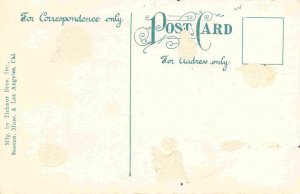 Steamer Arrival Provincetown Cape Cod Massachusetts 1910c postcard