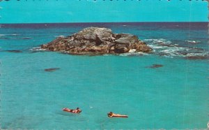 Bermuda Relaxing in the Clear Blue Waters South Shore Vintage Postcard 07.33