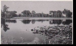 Iowa Onawa,Lotus Blossoms Dexter Press Archives