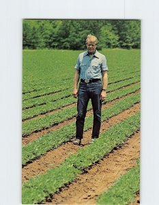 Postcard President Jimmy Carter American Farmer Peanut Field USA North America