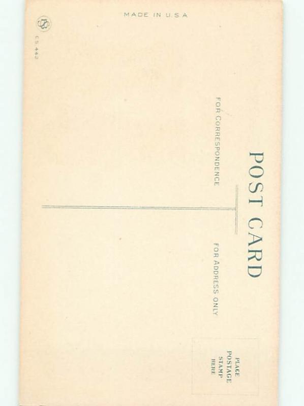 Divided-Back CHILDREN SCENE Great Postcard AA5059