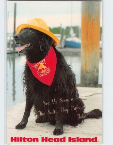 Postcard Jake, The Salty Dog, South Beach Village, Hilton Head Island, S. C.