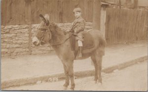 RPPC Postcard Little Boy Riding a Donkey c. 1900s