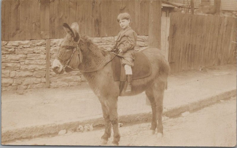 RPPC Postcard Little Boy Riding a Donkey c. 1900s