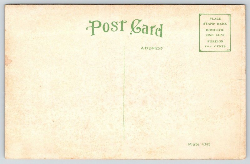 Guthrie Oklahoma~High School~Students at Open Doors~c1910 Postcard