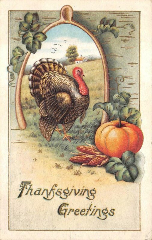 THANKSGIVING HOLIDAY TURKEY WISHBONE PUMPKIN CORN EMBOSSED POSTCARD (c.1914) 142