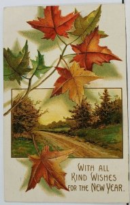 New Year Wishes Emboss  Beautiful Fall Foliage 1907 Omaha to Denton Postcard L19