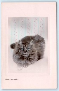 RPPC FLUFFY GREY CAT Embossed What, No Milk? Davidson Brothers Tinted Postcard