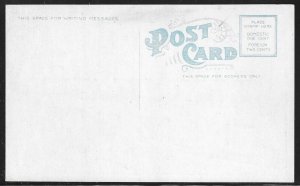 Washington House, Chester, Pennsylvania, Early Postcard, Unused