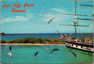 Sea Life Park Hawaii Postcard PC401