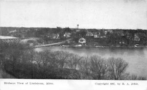 Lindstrom Minnesota Bird's Eye View~Houses-Street-Bridge-Water Tower?~1907 Pc