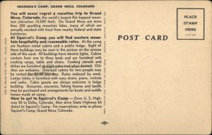 Grand Mesa CO Squirrel's Camp Linen Postcard