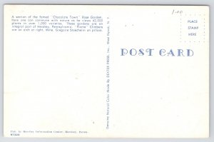 Hershey Pennsylvania~Chocolate Town Rose Garden~1950s Postcard