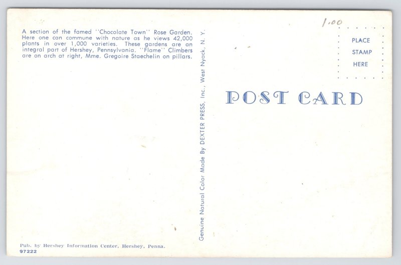 Hershey Pennsylvania~Chocolate Town Rose Garden~1950s Postcard