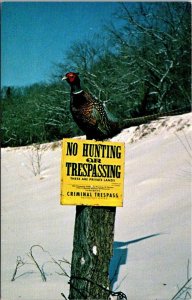 Hunting Pheasant No Hunting Or Trespassing