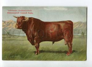 270022 RUSSIAN BUNGART Scottish Black Bull Vintage BAGGOVUT PC