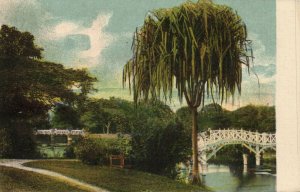 burma, RANGOON, In the Gardens (1910s) Italian Mission Postcard