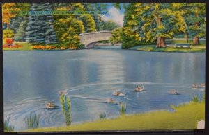 Hartford, CT - Pond and Bridge, Elizabeth Park - Shinicolor