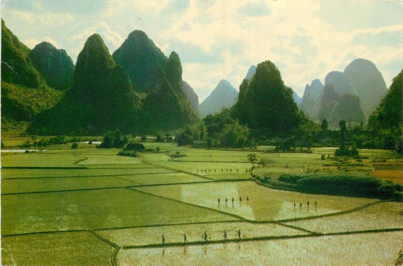 China beautiful Kweilin Garden-like rice fields at Chuanyen