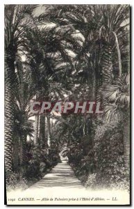 Postcard Old Cannes Palm Allee taken to the Hotel Albion