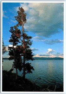 Postcard - Yellowstone Lake - Yellowstone National Park - Wyoming