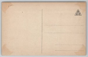 RPPC Christmas Pretty Woman Faux Snow Pine Cone Border Photo Postcard C39