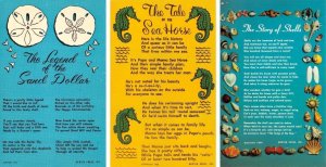 3~Vintage Chrome Postcards SAND DOLLAR LEGEND & SEA HORSE TALE & STORY OF SHELLS
