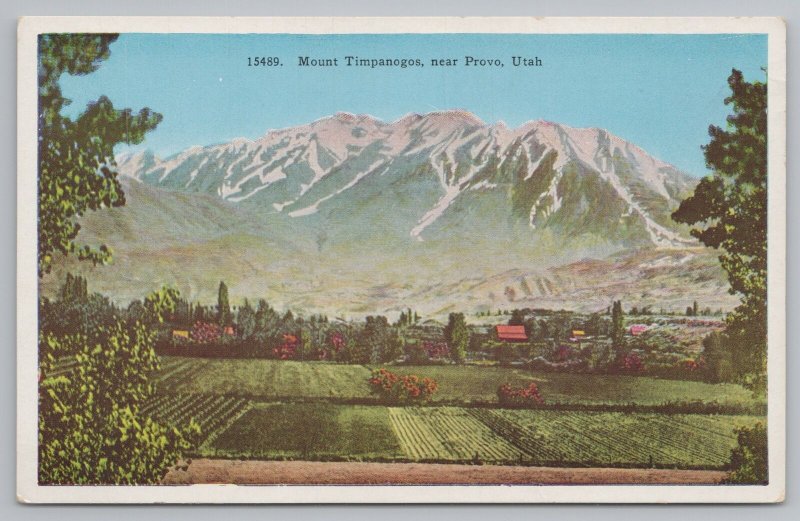 Provo Utah~Mount Timpanogos~Glacier~Wasatch Range~Farm Fields~Vintage Postcard 