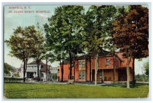 c1910 St. James Mercy Hospital Building Ground Tree Hornell New York NY Postcard