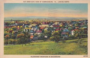 Virginia Harrisonburg Birds Eye View Of Harrisonburg 1941