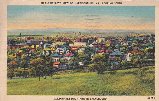 Virginia Harrisonburg Birds Eye View Of Harrisonburg 1941