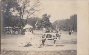 Wisconsin Wi Real Photo RPPC Postcard c1910 BELOIT Parade Pony Horse FLOAT WAGON
