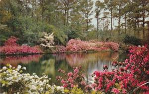 Alabama Mobile Mirror Lake At Bellingrath Gardens