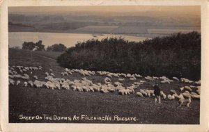 Polegate England Fliching Sheep  Real Photo Postcard AA41249