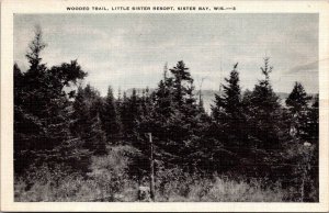 Wooded Trail, Little Sister Resort, Sister Bay WI Vintage Postcard X47