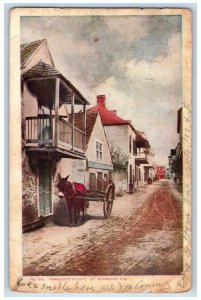 1909 Charlotte Street Horse Carriage St Augustine Florida Road Vintage Postcard 