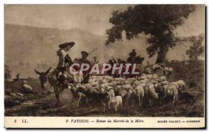 Old Postcard P Vaysson Return of the walk Mure Musee Calvet Avignon Donkey Mule