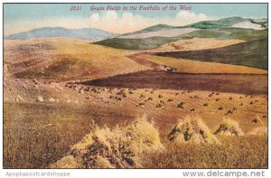 Grain Fields In The Foothills Of The West