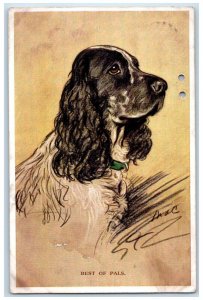 1937 Best Of Pals Springer Spaniel Dog Battersea Ontario Canada Vintage Postcard