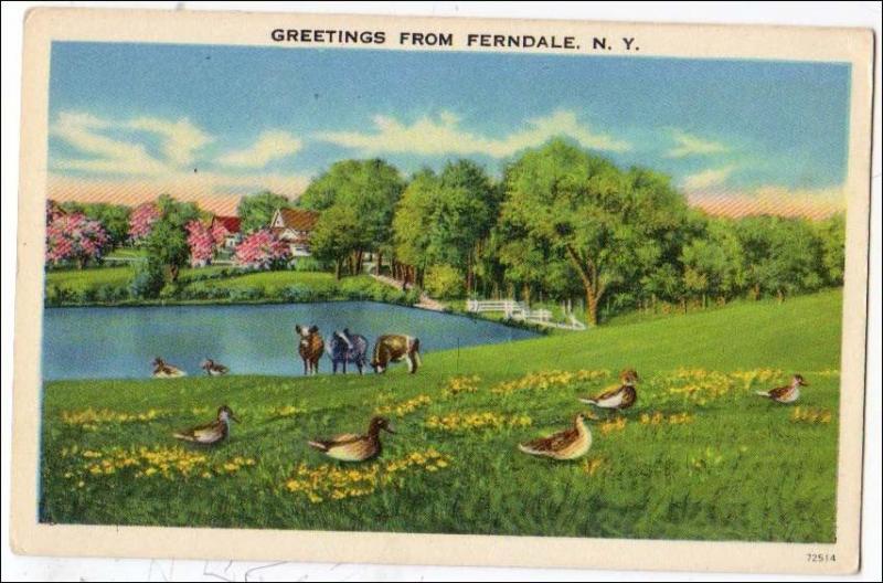 Greetings from Ferndale NY